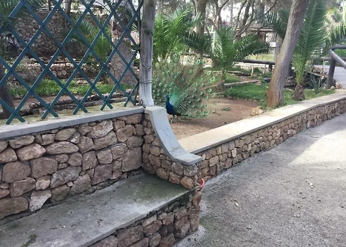 16 Porto Santo Apartments