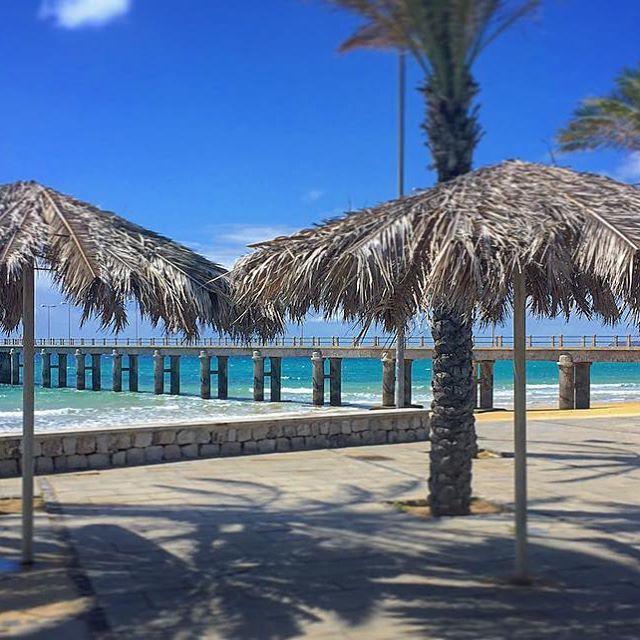 16 Homestay Porto Santo